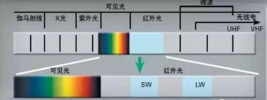 QQ截圖20210202155637